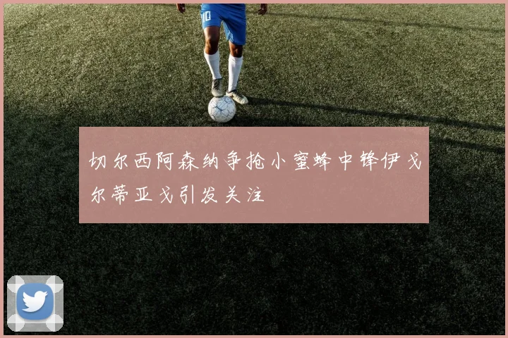 切尔西阿森纳争抢小蜜蜂中锋伊戈尔蒂亚戈引发关注